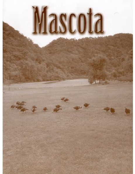 mascota